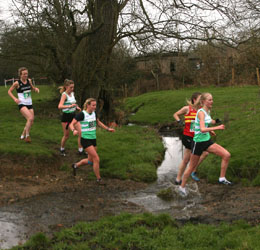 girls crossing press.jpg